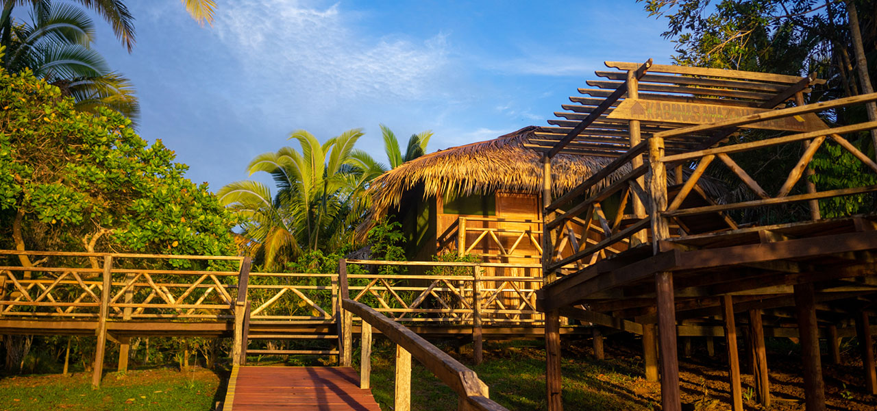Amazon Tarzan Lodge