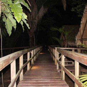 Hummingbird tour 4 days & 3 nights